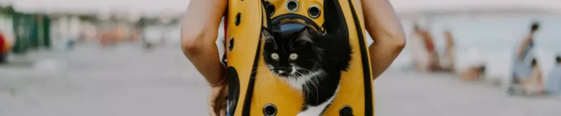 __quieres_viajar_con_tu_mascota_por_europa_
