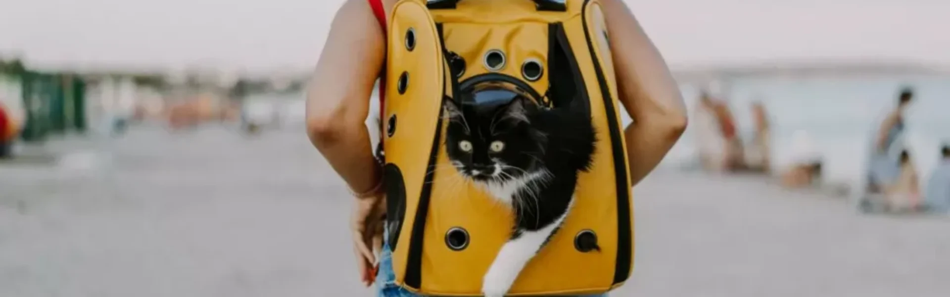 __quieres_viajar_con_tu_mascota_por_europa_